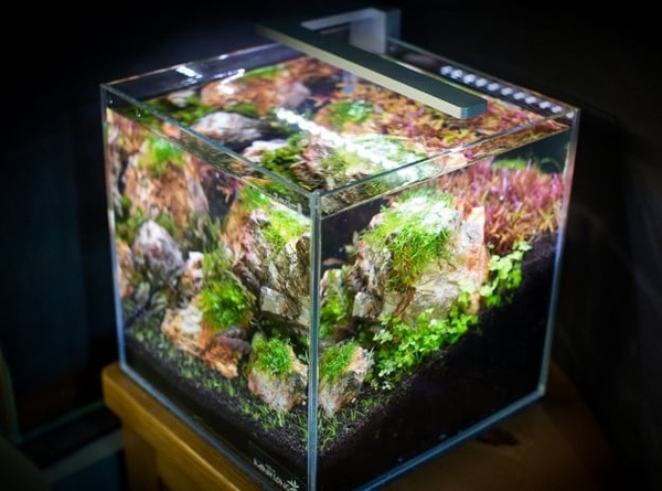 Sản phẩm 6