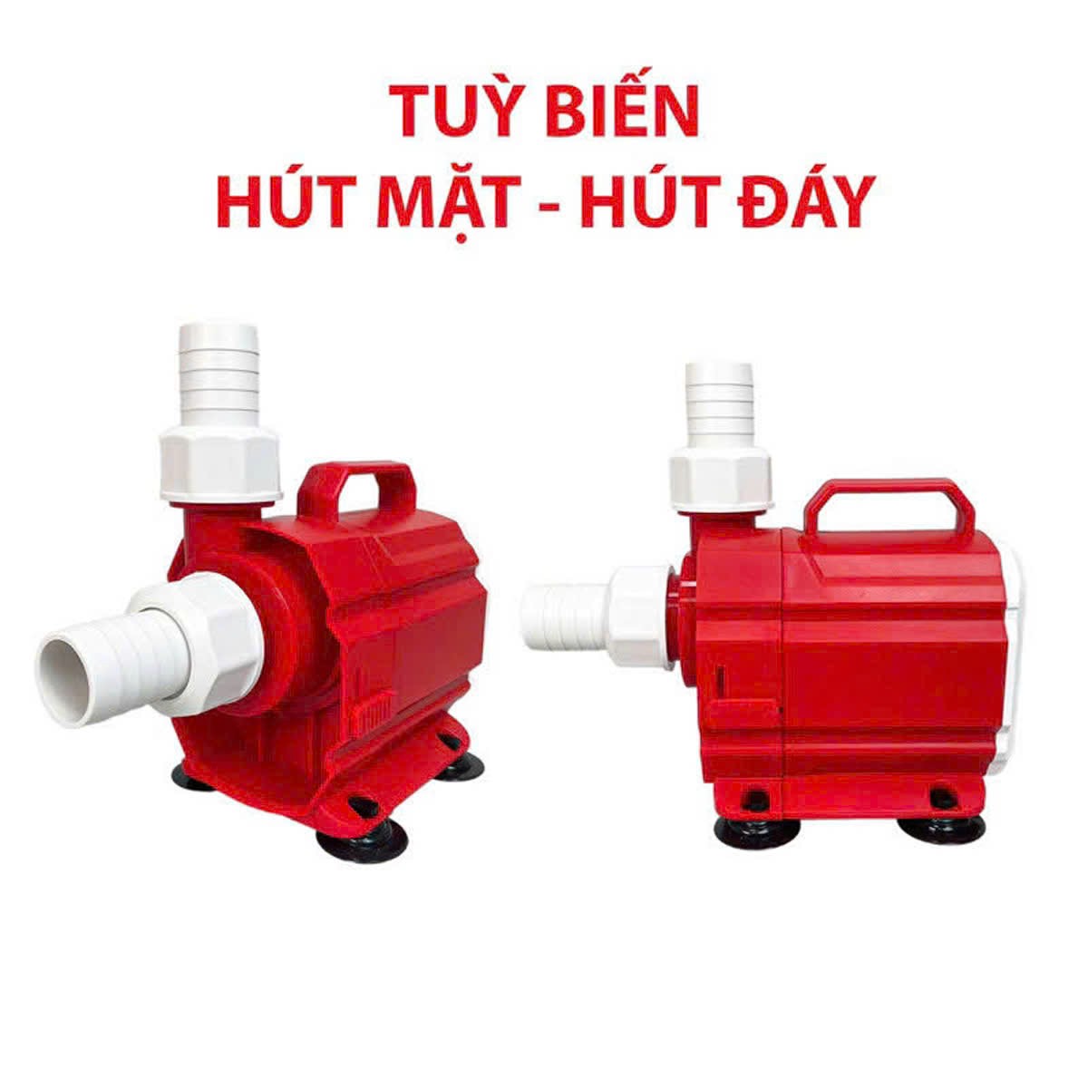 Máy bơm hồ cá BAOYU JP-3000 20W - Ảnh 7