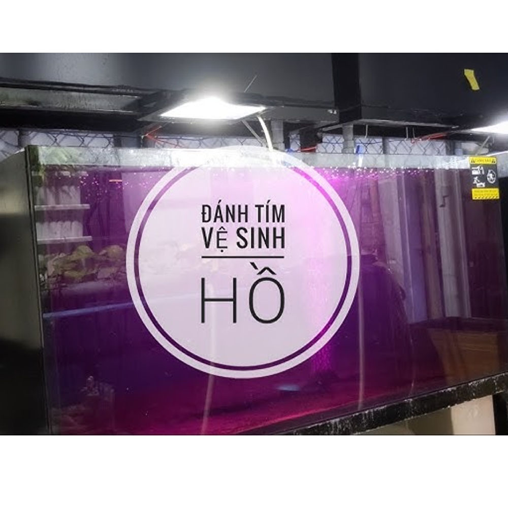 Thuốc tím sát khuẩn, trị nấm, diệt tảo cho hồ cá thủy sinh - Ảnh 4