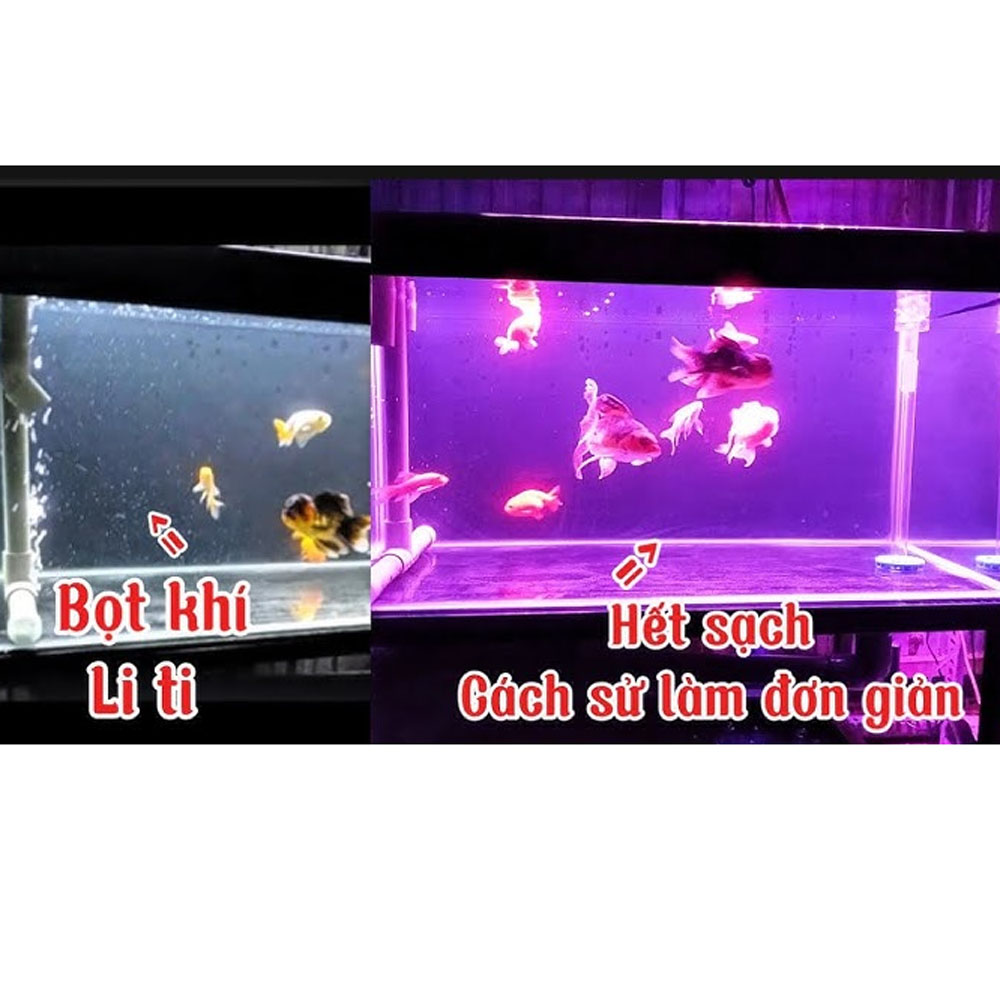 Thuốc tím sát khuẩn, trị nấm, diệt tảo cho hồ cá thủy sinh - Ảnh 3