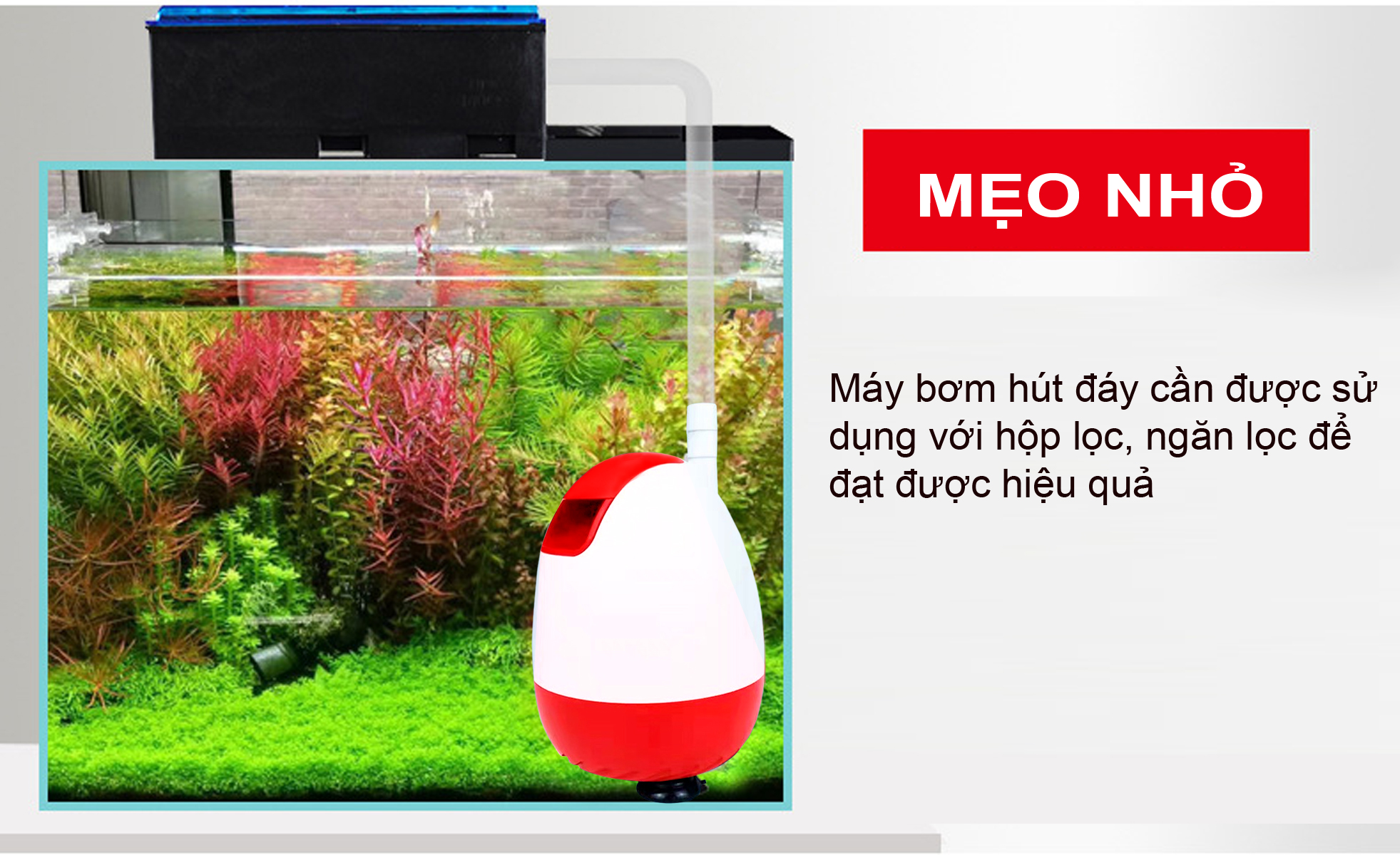 Bơm Hút Đáy Bể Cá BAOYU BY-302 16W - Ảnh 6