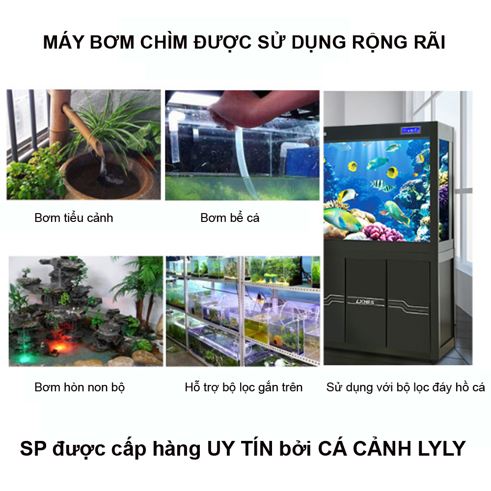 Combo Lọc Thùng Baki 40x30x50cm + Bơm Baoyu 104 & Vật Liệu Lọc Nâng Cao Cho Bể Cá  400 - 600L Đen - Ảnh 8