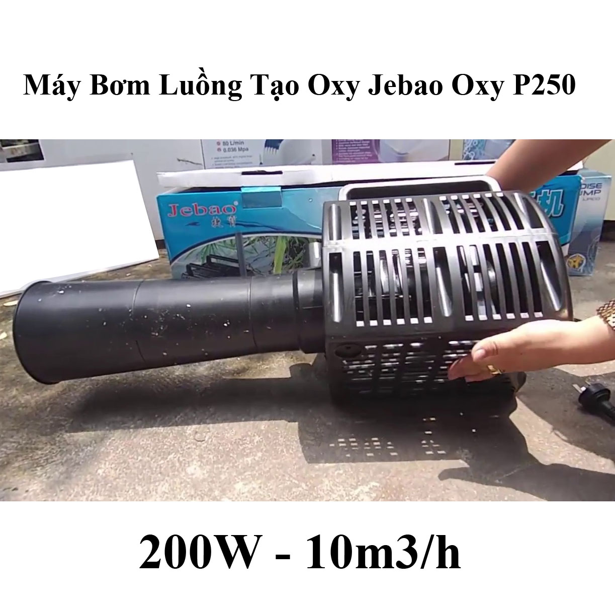 Máy Bơm Luồng Tạo Oxy Jebao Oxy P250
