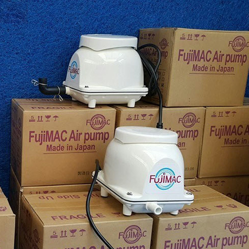 Máy sục khí Fujimac MAC-300R II