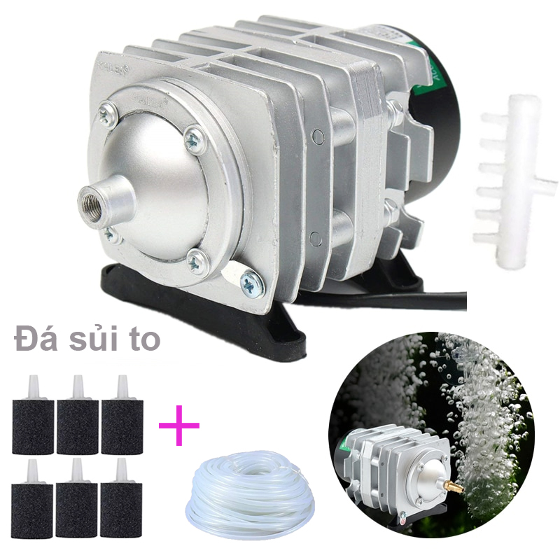 Máy sủi điện Hailea 25W