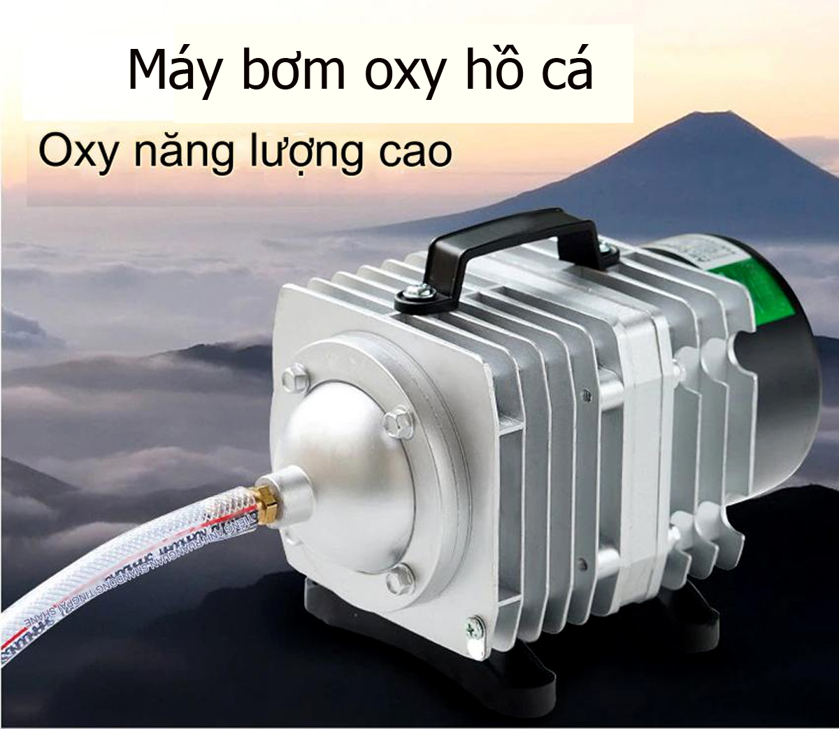 Máy sủi điện Hailea 120W - Ảnh 8