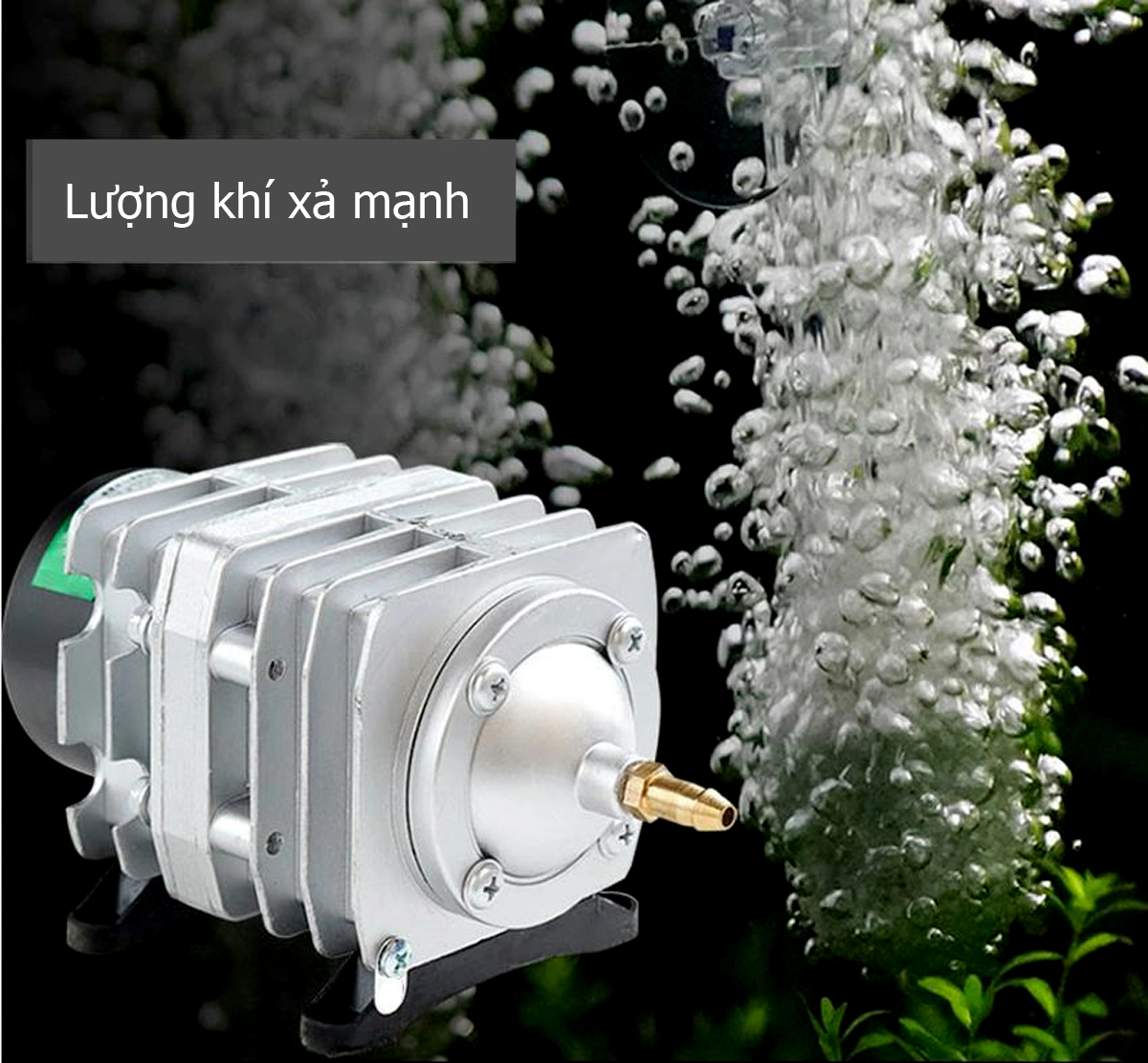 Máy sủi điện Hailea 120W - Ảnh 9