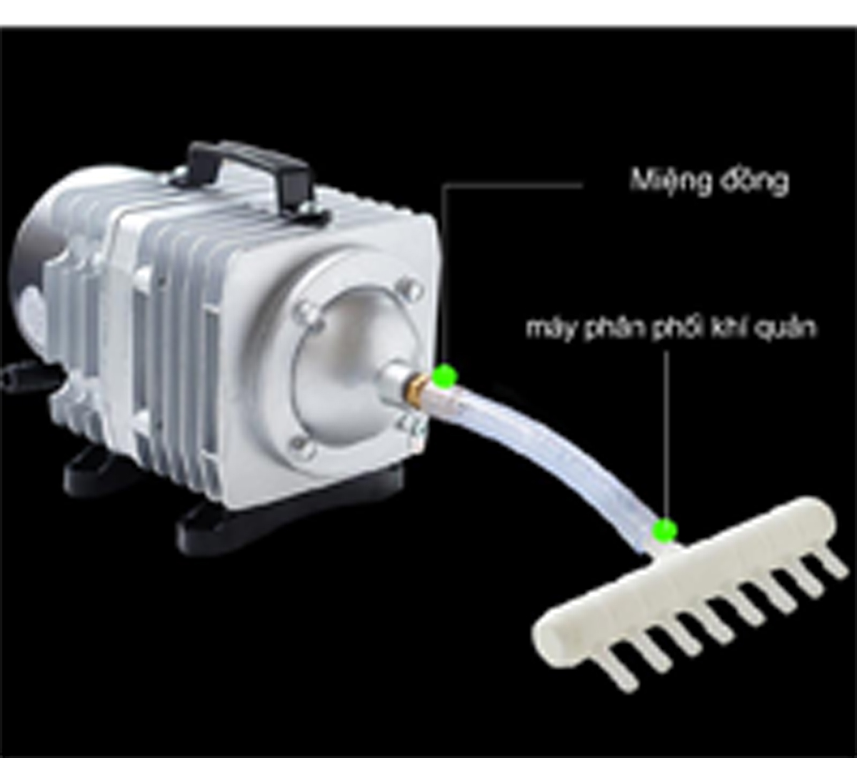 Máy sủi điện Hailea 120W - Ảnh 14