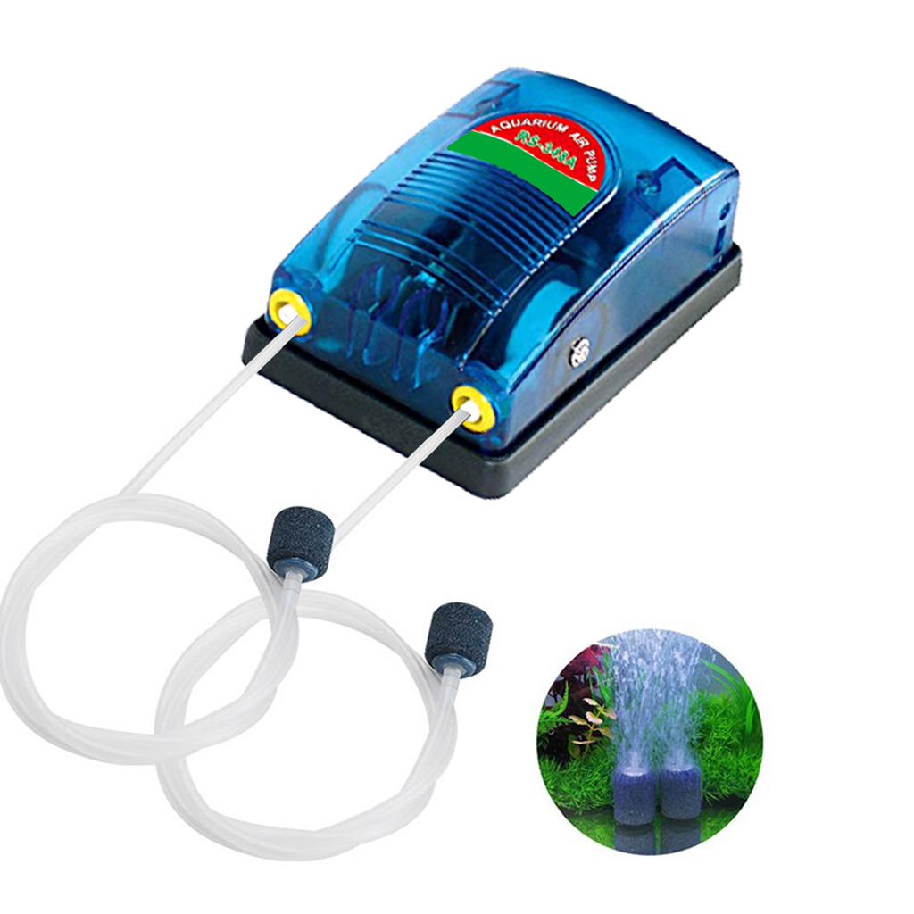 Máy sủi điện 2 vòi RS Electrical 348A 5W
