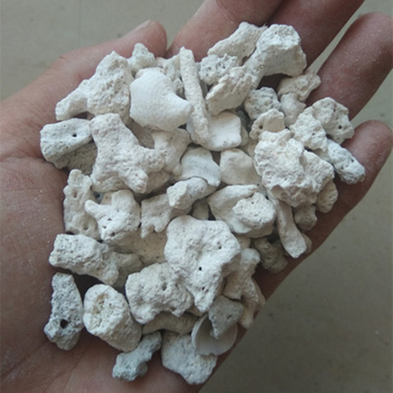 Combo 400g Vật Liệu Lọc Hồ Cá: Than Hoạt Tính - Sứ Trắng - San Hô - Nham Thạch - Ảnh 3